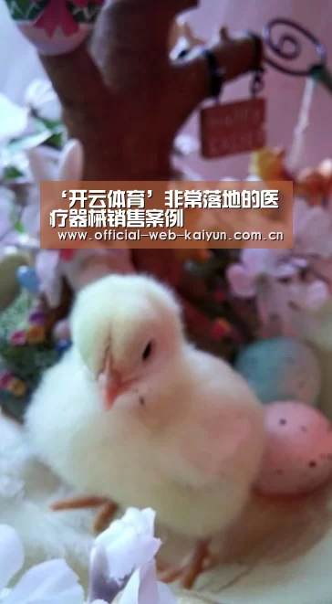‘开云体育’非常落地的医疗器械销售案例(图4) 开云体育