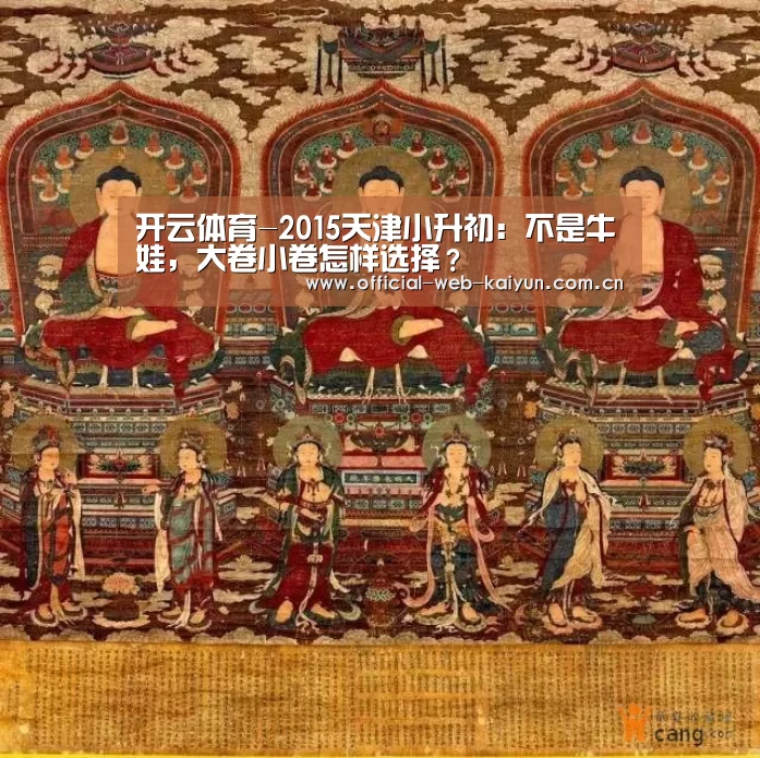 开云体育-2015天津小升初:不是牛娃,大卷小卷怎样选择?(图3) 开云体育