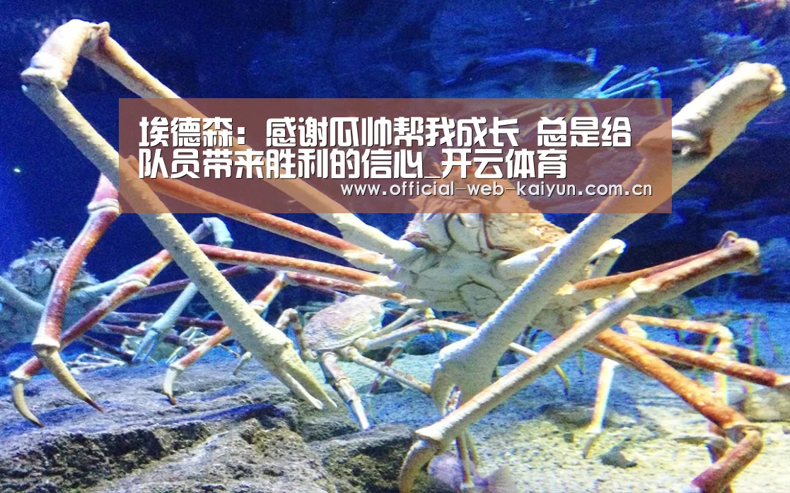埃德森:感谢瓜帅帮我成长 总是给队员带来胜利的信心_开云体育(图1) 开云体育