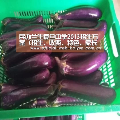 民办兰生复旦中学2013招生方案(招生、收费、特色、家长分享等)2013上海小升初-开云体育(图1) 开云体育